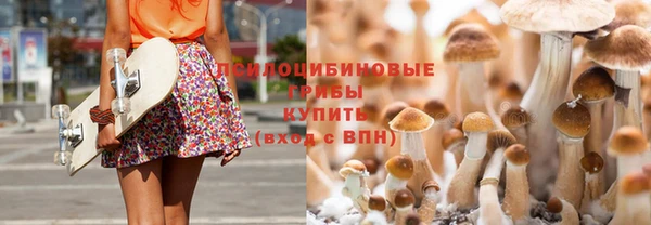 mdpv Каменск-Шахтинский