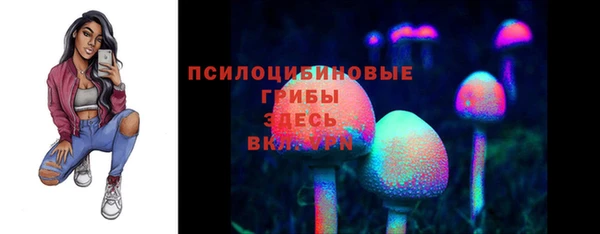 mdpv Каменск-Шахтинский