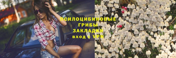 mdpv Каменск-Шахтинский