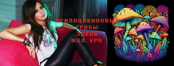 экстази Каменка