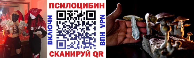 Купить  Волосово  Псилоцибиновые грибы мухоморы 